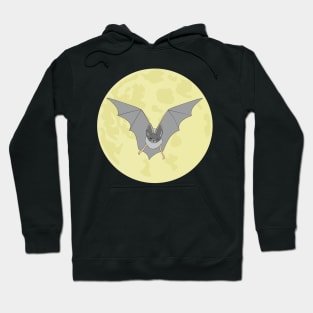 Bat Hoodie